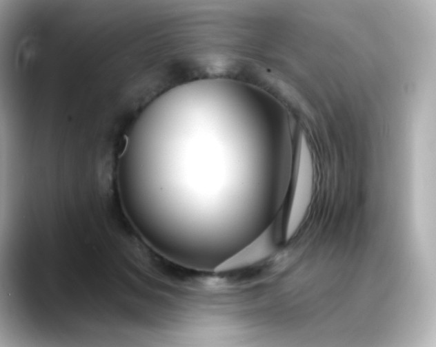 X0000088410509200706051156