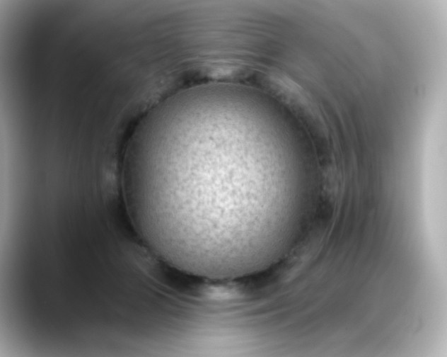 X0000088410510200706051156