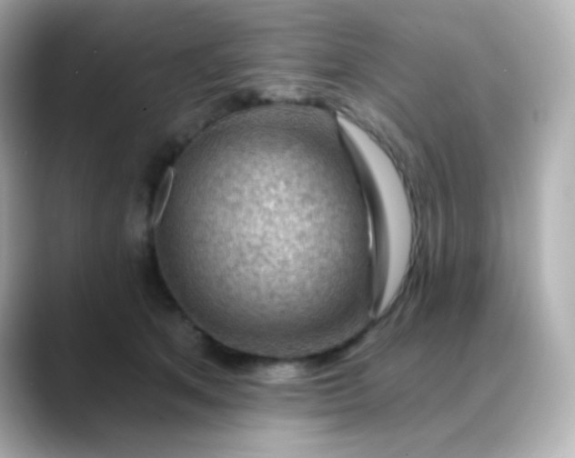 X0000088410513200706051156