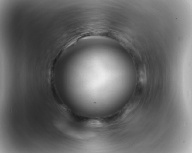 X0000088410519200706051156