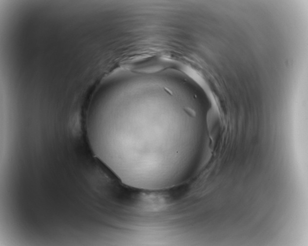 X0000088410520200706051156