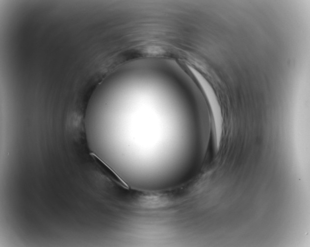 X0000088410521200706051156