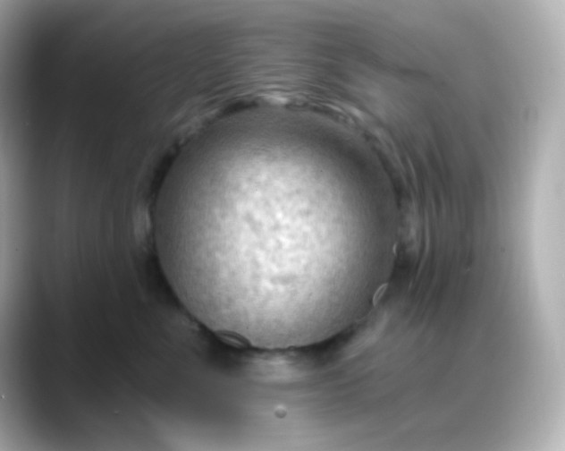 X0000088410523200706051156