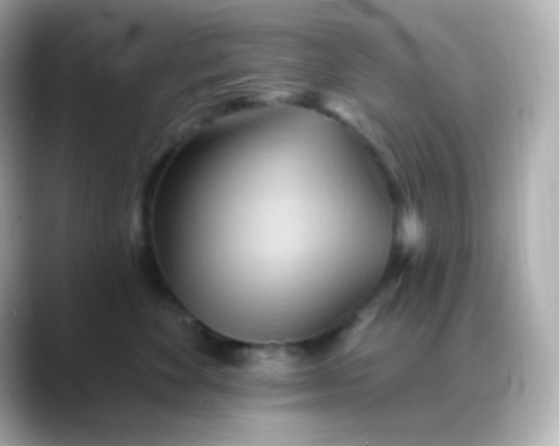 X0000088410524200706051156