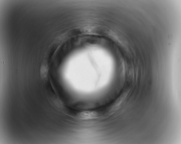 X0000088410526200706051156