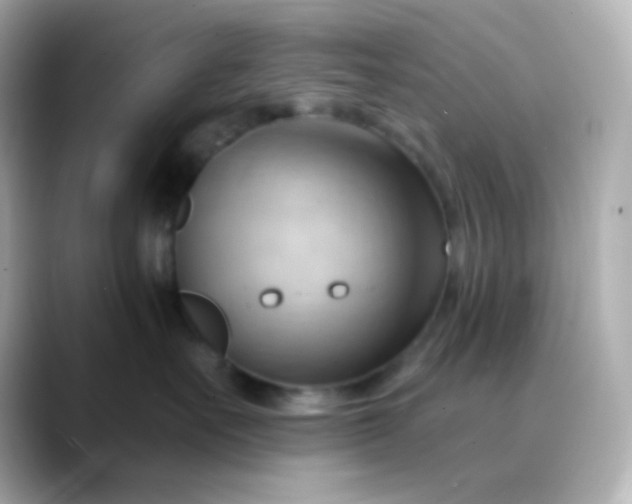 X0000088410527200706051156