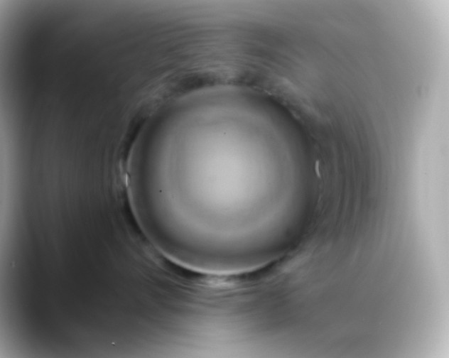 X0000088410528200706051156