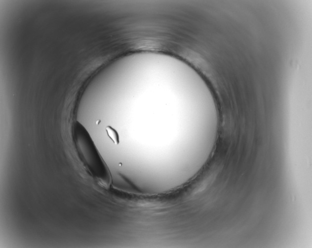 X0000088410529200706051155