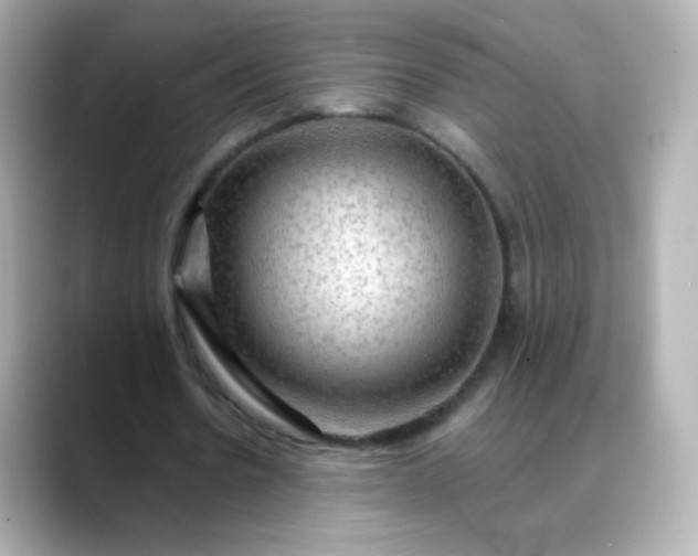 X0000088410530200706051155