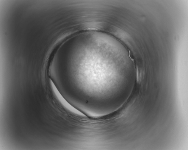 X0000088410531200706051155