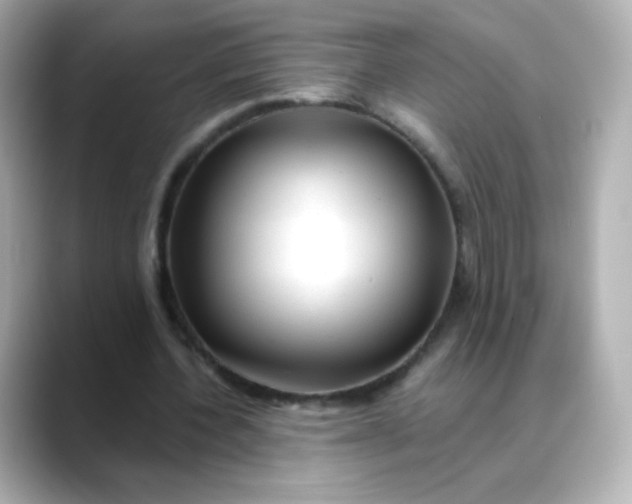 X0000088410532200706051155