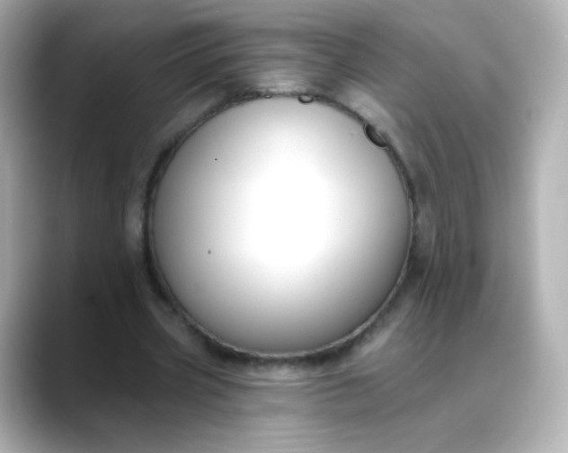 X0000088410533200706051155