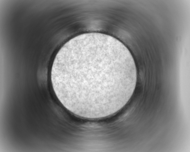 X0000088410534200706051155