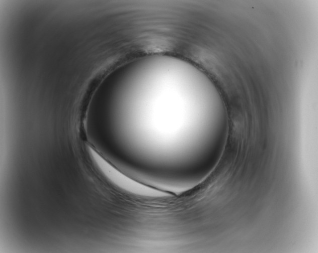 X0000088410539200706051155