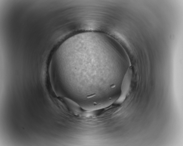 X0000088410540200706051155