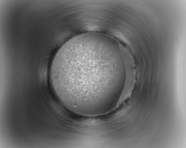 X0000088410542200706051155