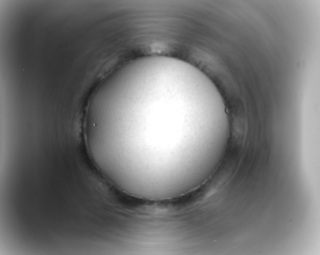 X0000088410545200706051155