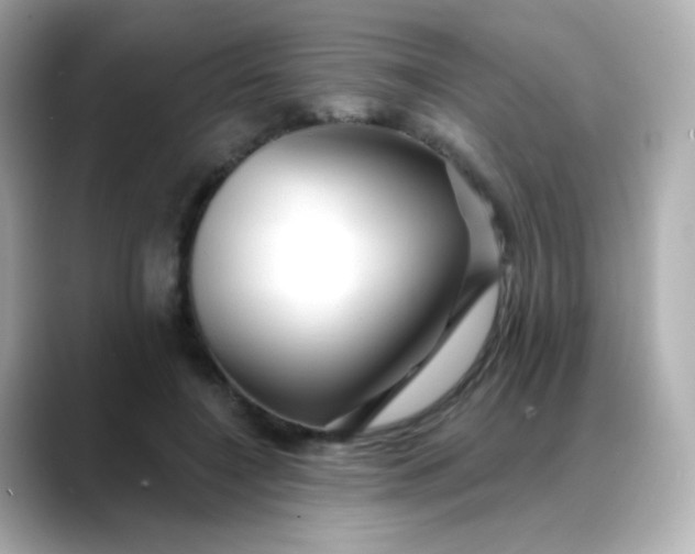 X0000088410548200706051155