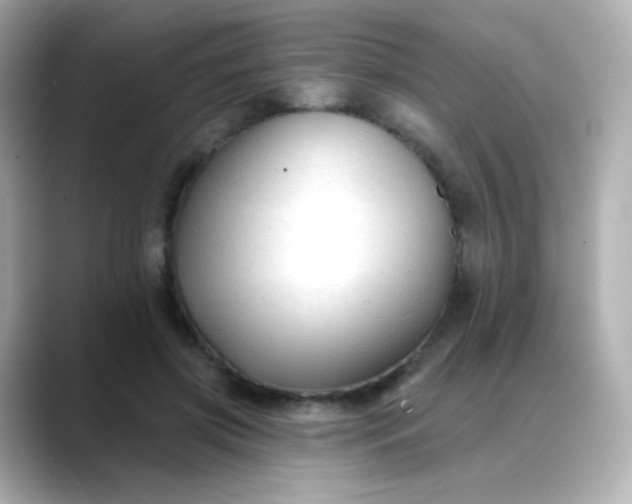 X0000088410549200706051155