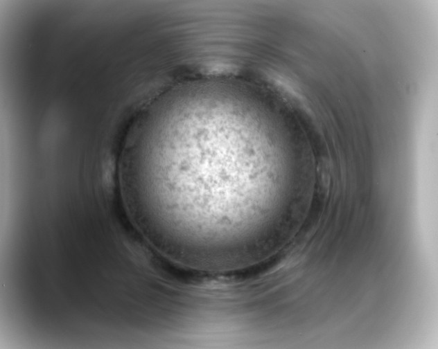 X0000088410550200706051155