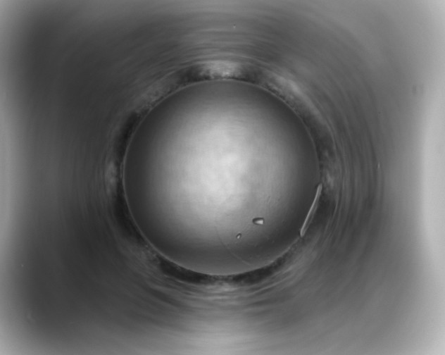 X0000088410551200706051155