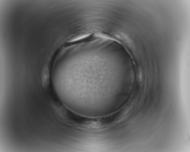 X0000088410552200706051155