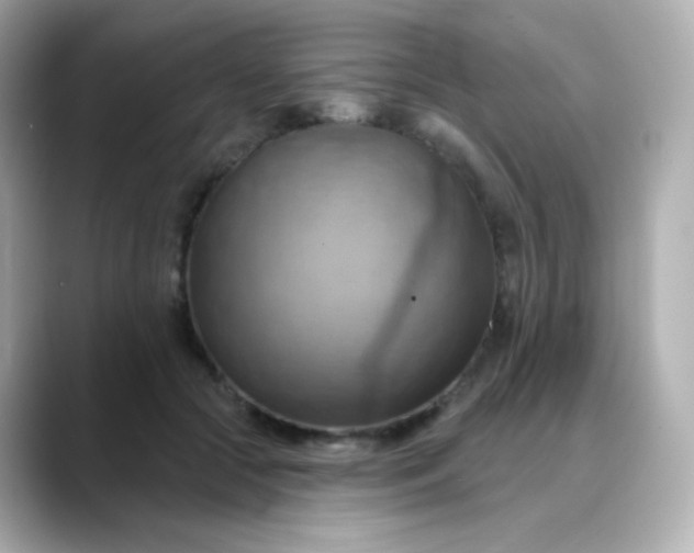 X0000088410553200706051155