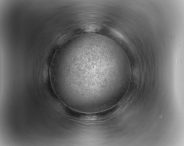 X0000088410554200706051155