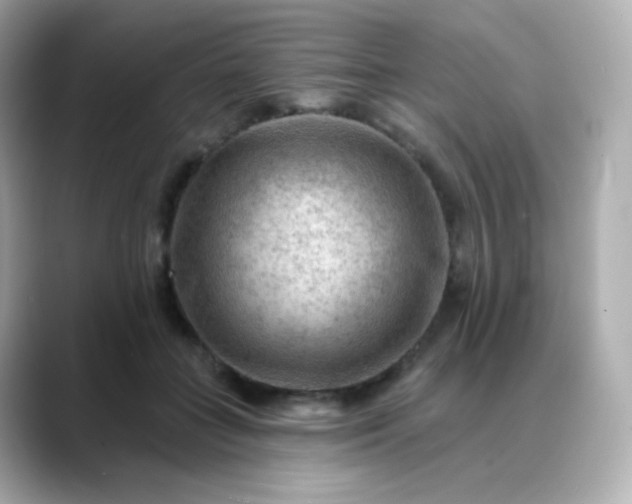 X0000088410555200706051155