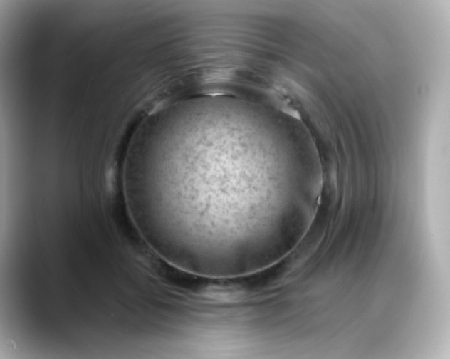 X0000088410556200706051155