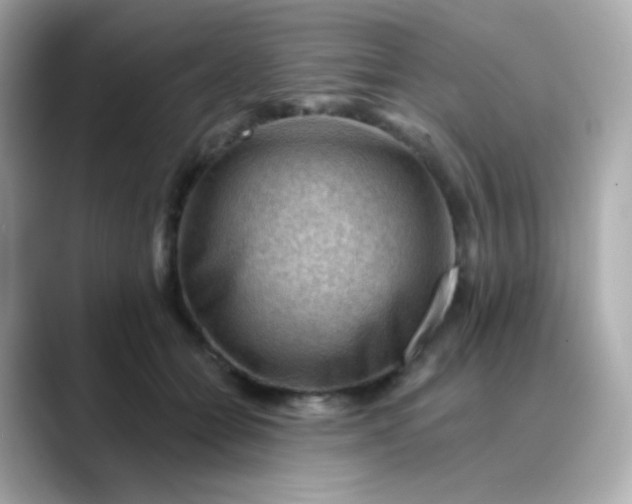 X0000088410558200706051155