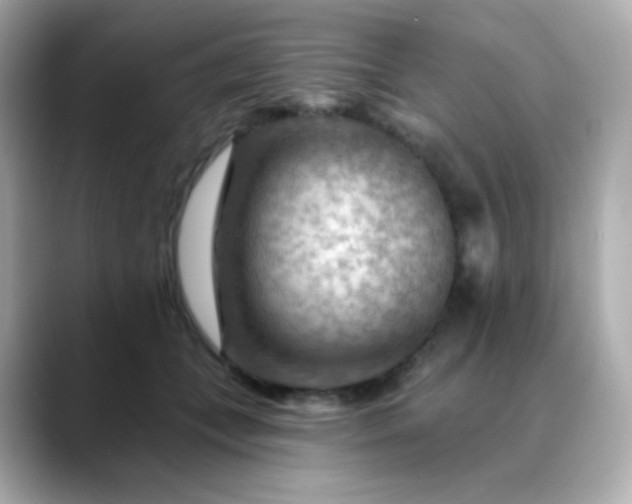 X0000088410559200706051155