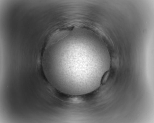 X0000088410561200706051156