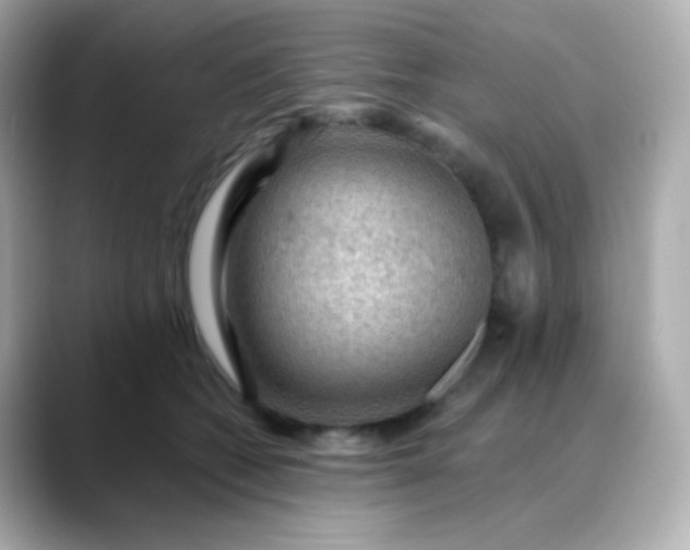 X0000088410562200706051156