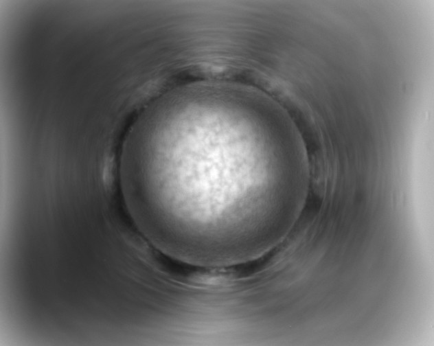 X0000088410563200706051156