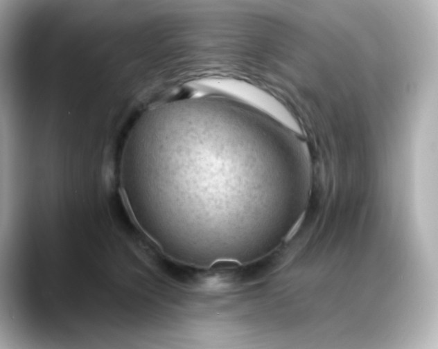 X0000088410564200706051156