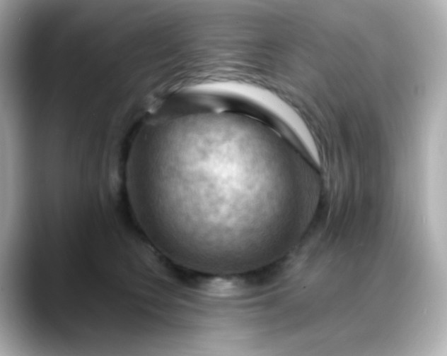 X0000088410566200706051156