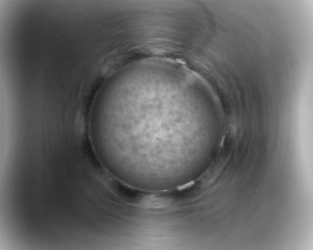 X0000088410568200706051156