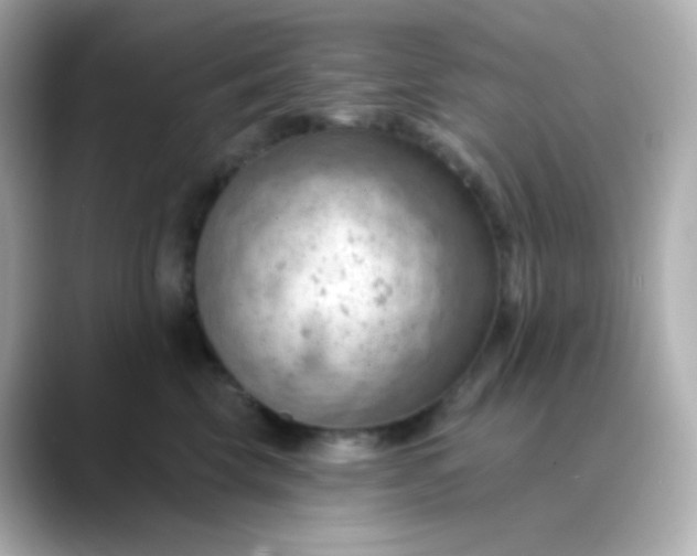 X0000088410569200706051156