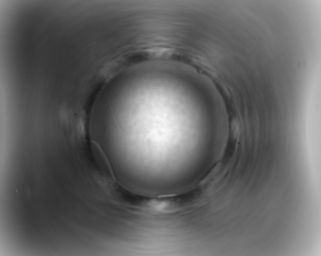 X0000088410570200706051156