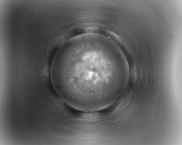 X0000088410571200706051156