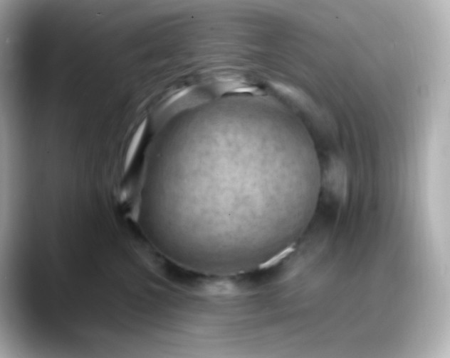 X0000088410572200706051156