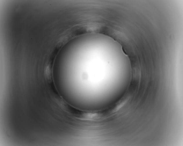 X0000088410575200706051156