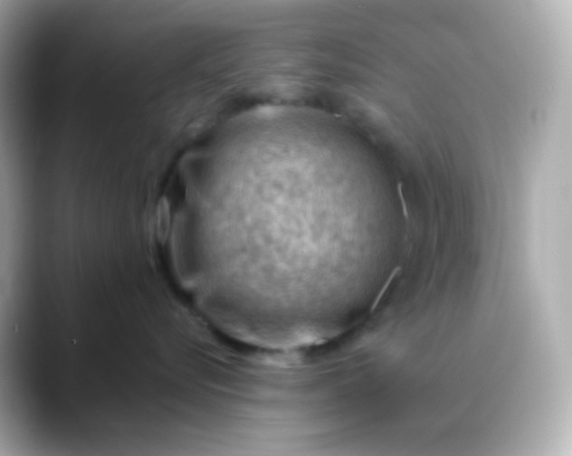 X0000088410576200706051156