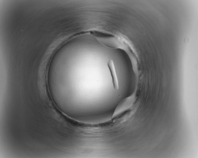 X0000088410577200706051155