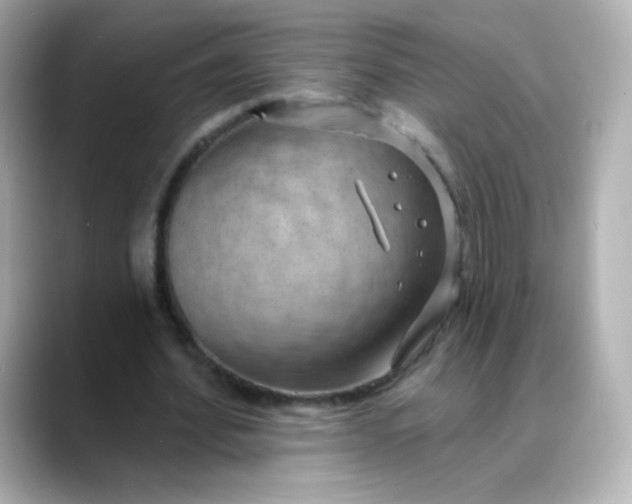 X0000088410580200706051155