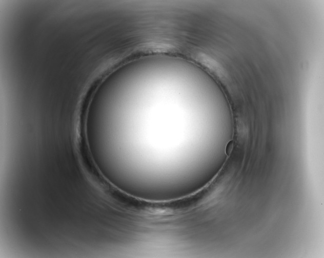 X0000088410582200706051155