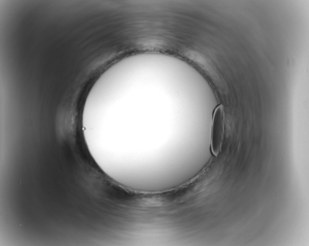 X0000088410583200706051155