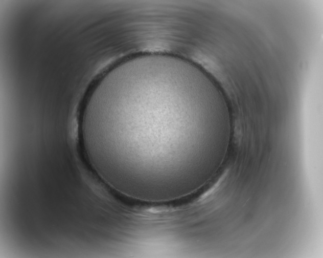 X0000088410584200706051155