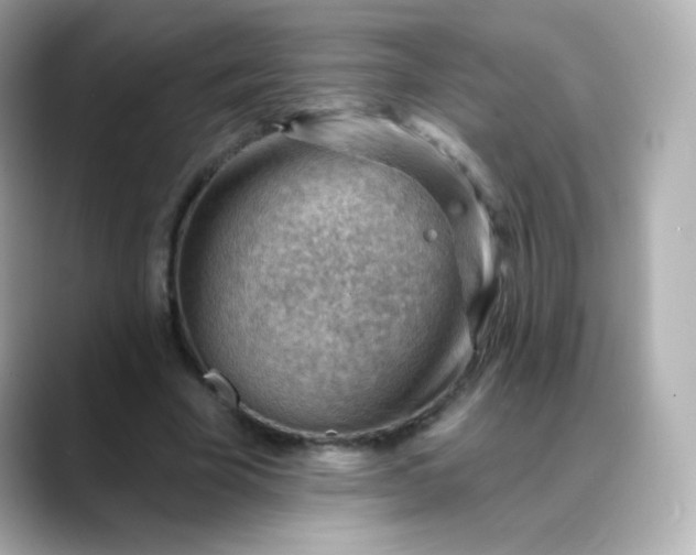 X0000088410585200706051155